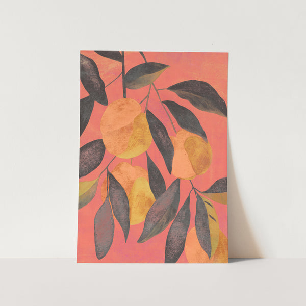 Peaches At Sunset  PFY Art Print