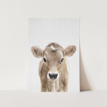 Peekaboo Baby Cow PFY Art Print