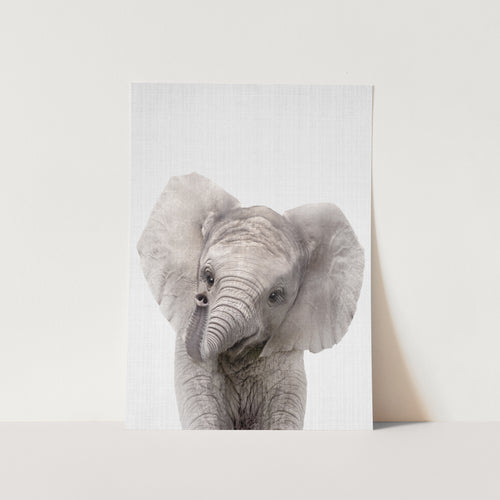 Peekaboo Baby Elephant PFY Art Print