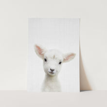 Load image into Gallery viewer, Peekaboo Baby Sheep PFY Art Print