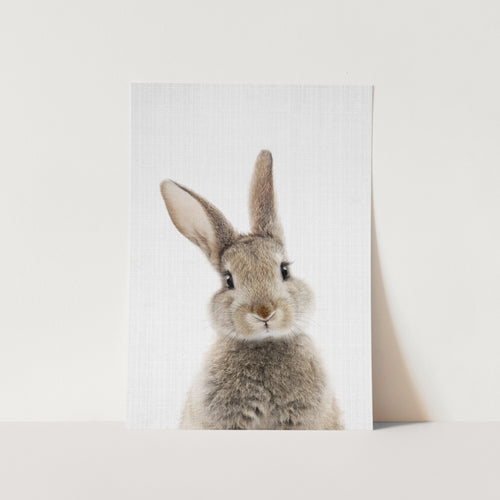 Peekaboo Bunny PFY Art Print