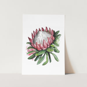 Protea Art Print