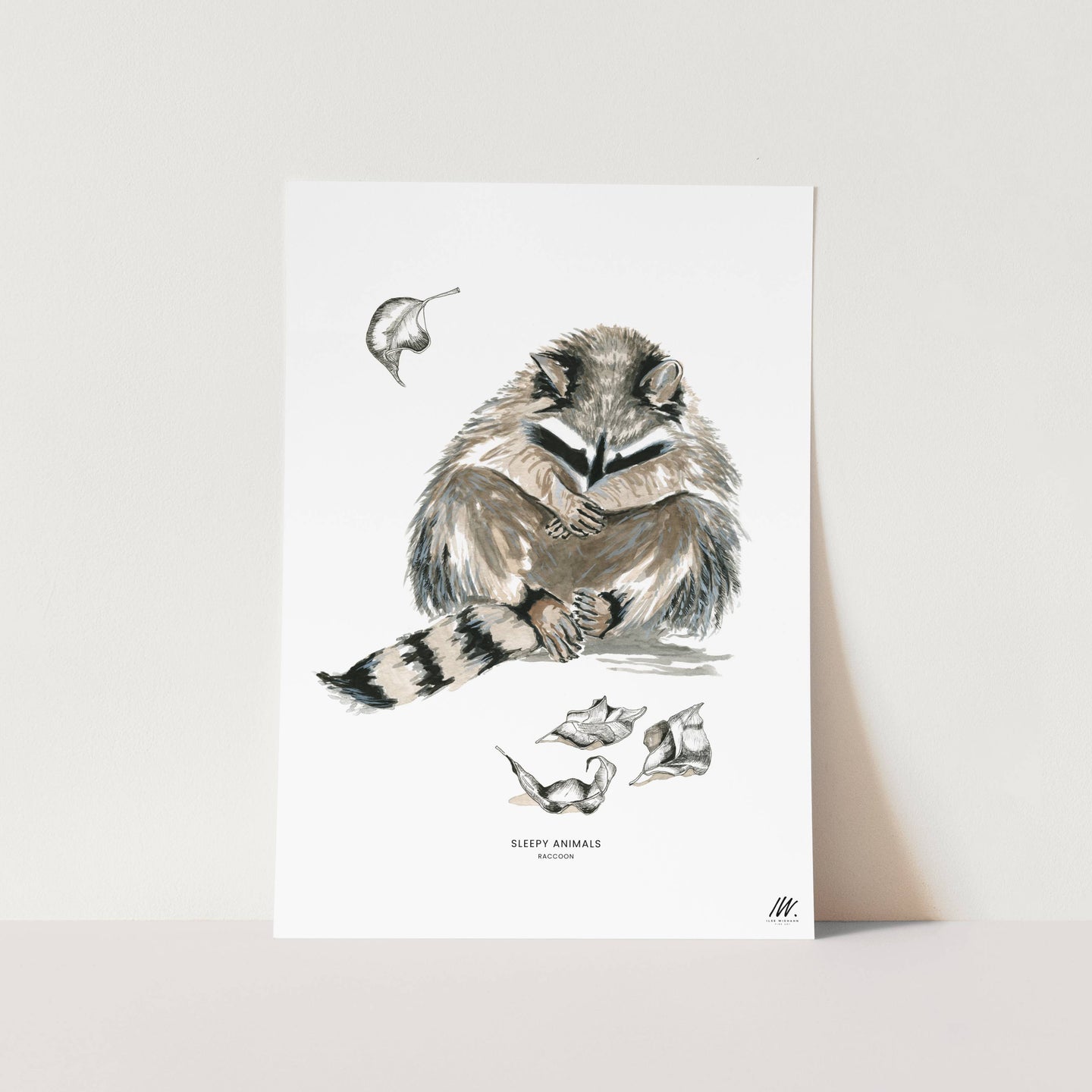 Racoon Art Print