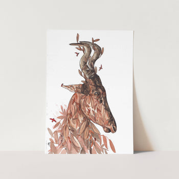 Red Hartebeest by Mareli Art Print