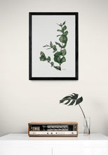 Load image into Gallery viewer, Eucalyptus Art Print