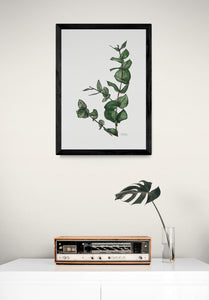 Eucalyptus Art Print