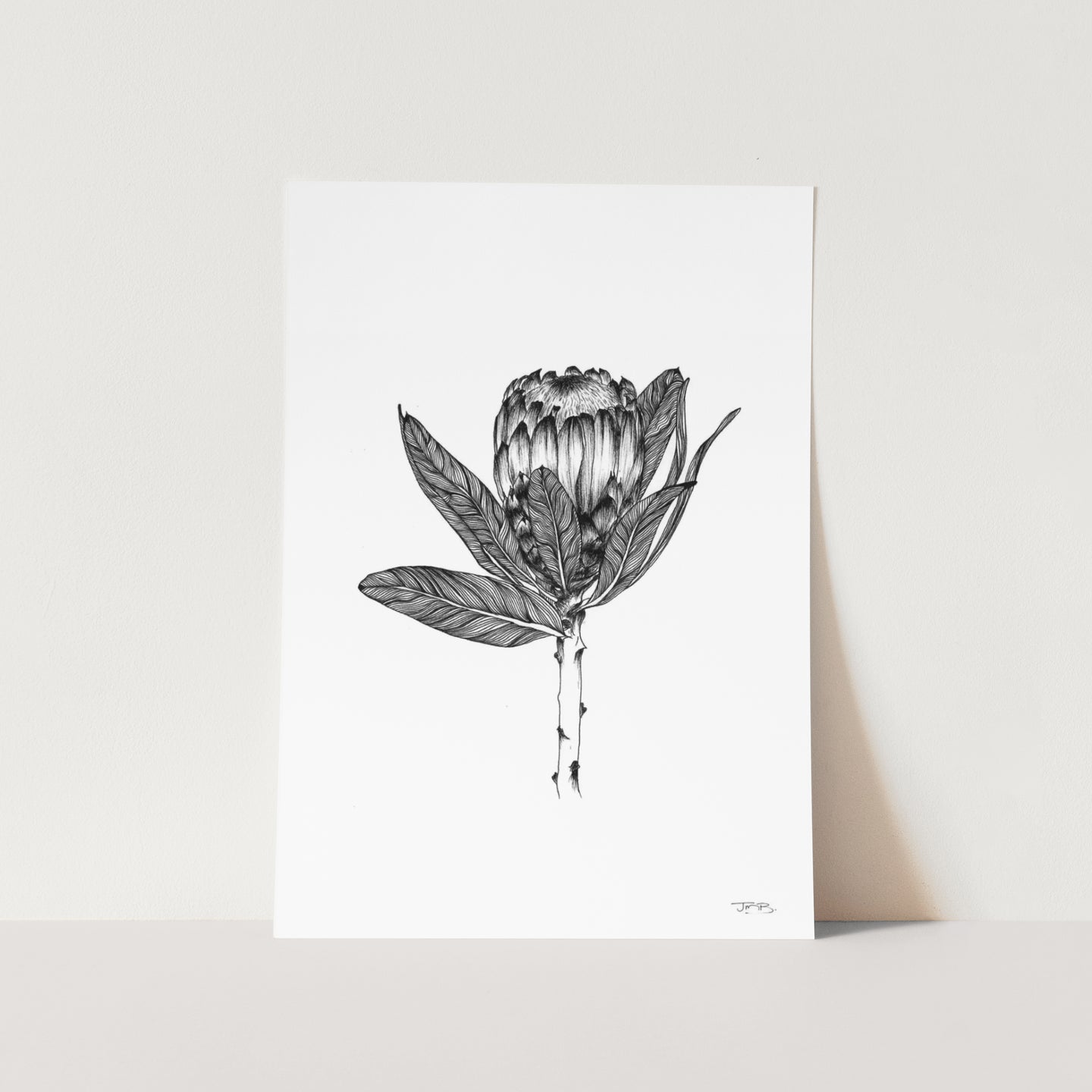 Protea by JMB Art Print