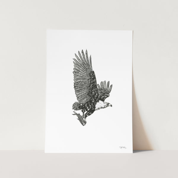 Fish Eagle by JMB Art Print