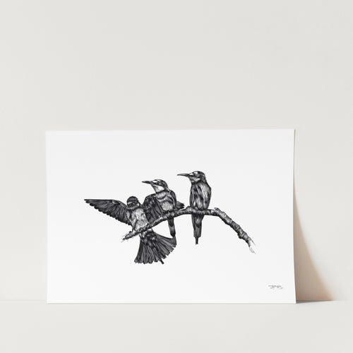 3 Little Birds by JMB Art Print