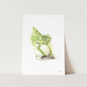 Watercolour Chameleon by JMB Art Print