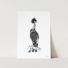 Load image into Gallery viewer, Crown Crane by JMB Art Print