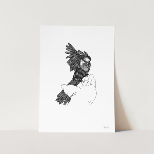 Cape Sparrow by JMB Art Print