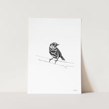Load image into Gallery viewer, Robin by JMB Art Print