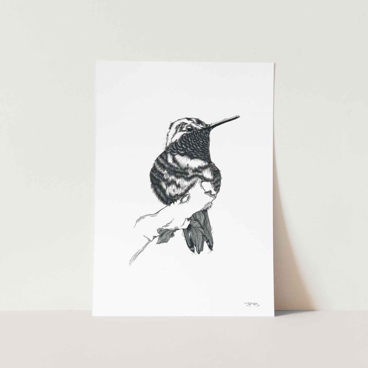 Sunbird by JMB Art Print