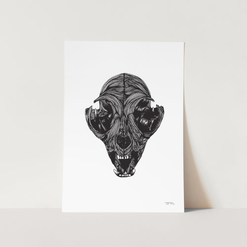 Cat Skull by JMB Art Print