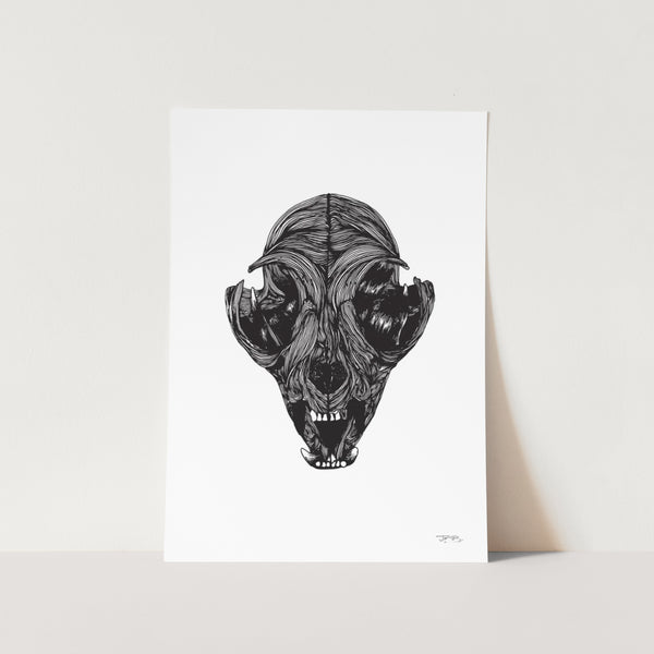 Cat Skull by JMB Art Print
