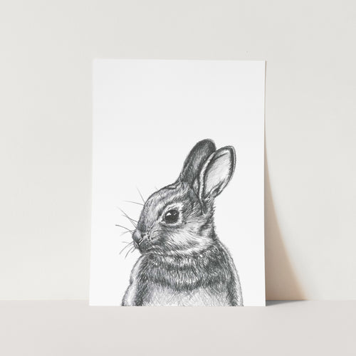 Cottontail by Lor Art Print
