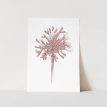 Load image into Gallery viewer, Agapanthus Silhouette Full Bloom Art Print