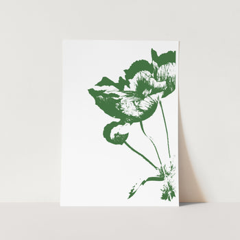 Poppy Silhouette Art Print