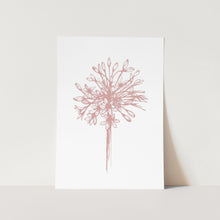 Load image into Gallery viewer, Agapanthus Silhouette Full Bloom Outline Art Print