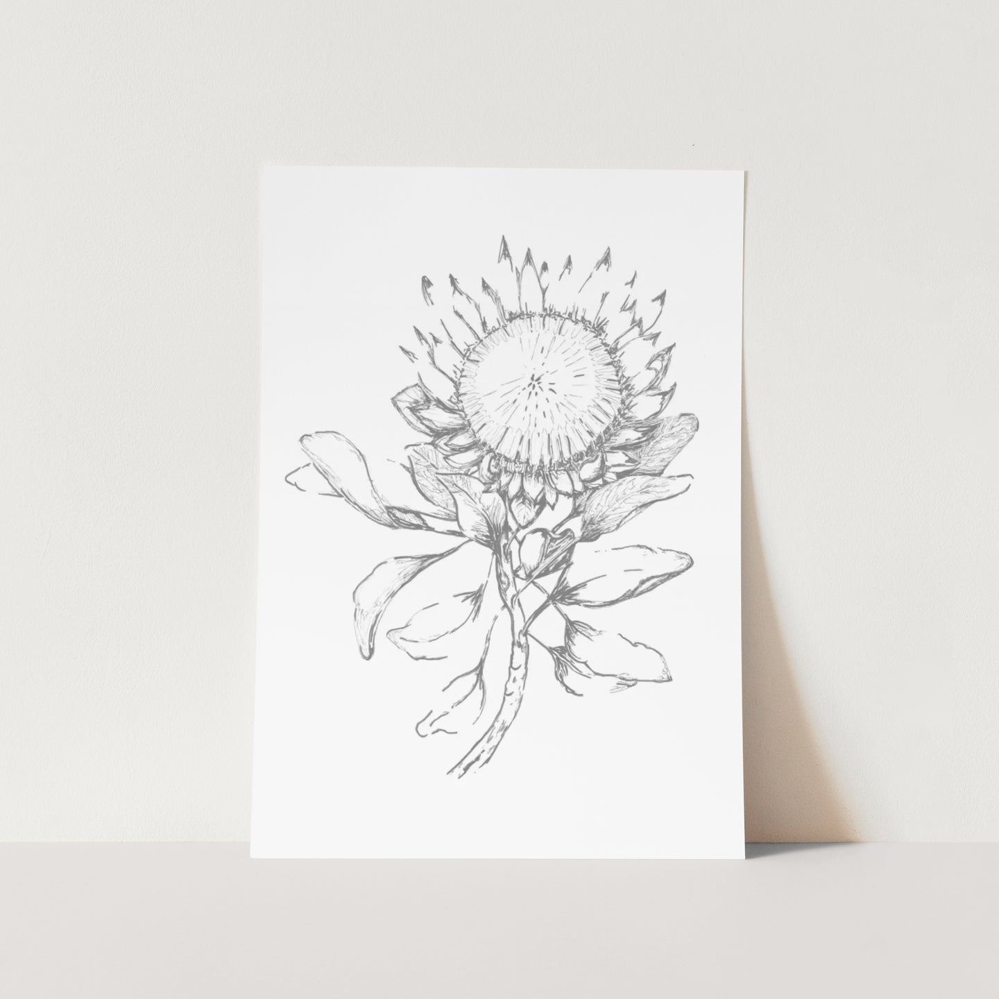 Protea Silhouette Art Print