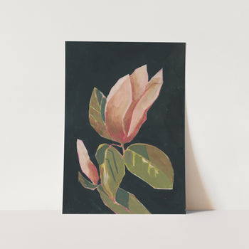 Magnolia in Dark Background PFY Art Print