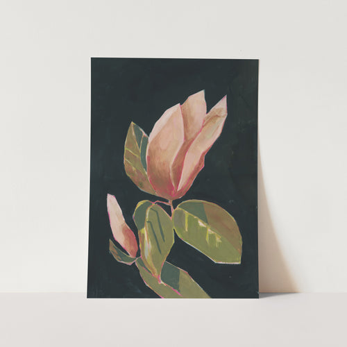 Magnolia in Dark Background PFY Art Print