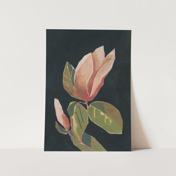 Magnolia in Dark Background PFY Art Print