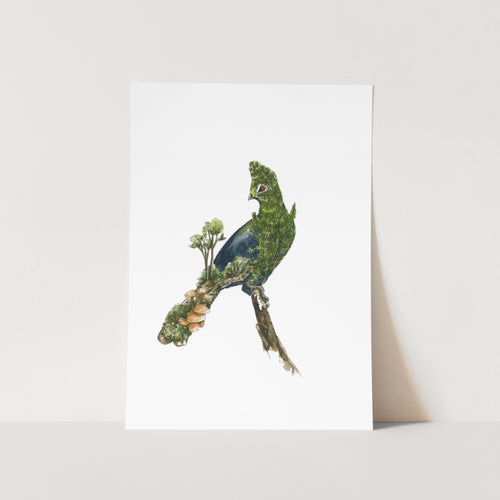 Loeri by Mareli Art Print