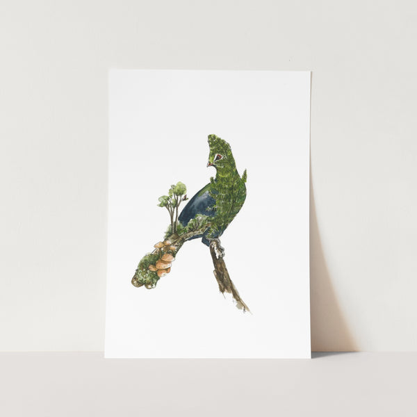 Loeri by Mareli Art Print