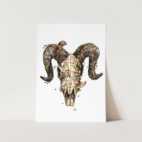 Scull Art Print