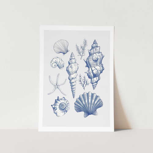 Shell Collage PFY Art Print