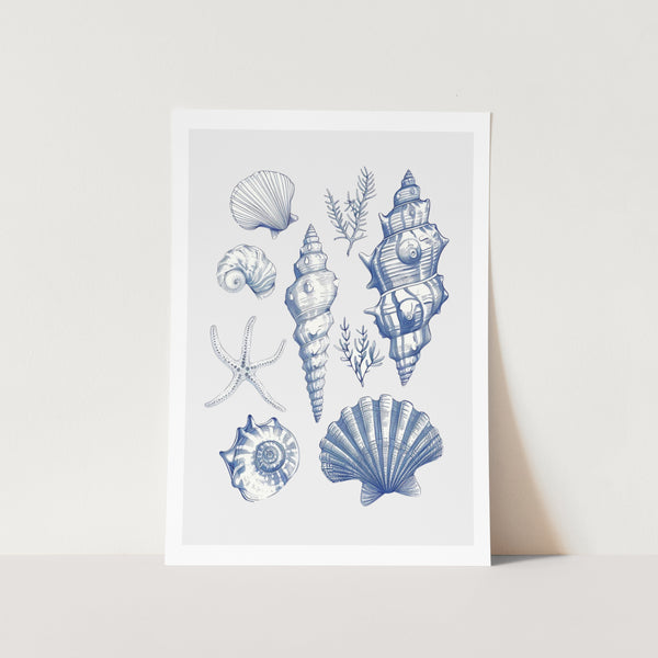 Shell Collage PFY Art Print