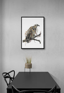 Vulture Art Print