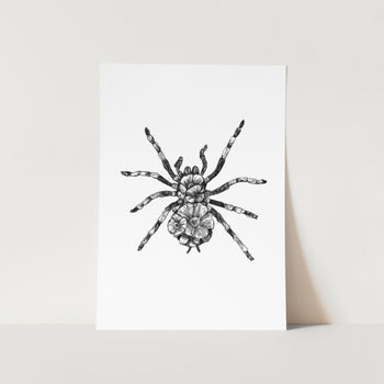 Spider Art Print