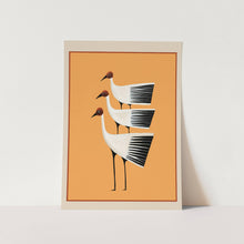 Load image into Gallery viewer, Striped Bird Trio II Art Print