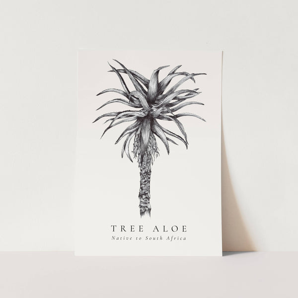 Tree Aloe Native to South Africa Art Print