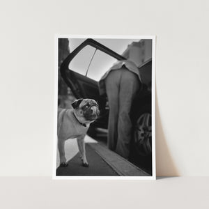 Vintage Dog PFY Art Print