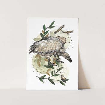 The Rouxville Vulture Art Print