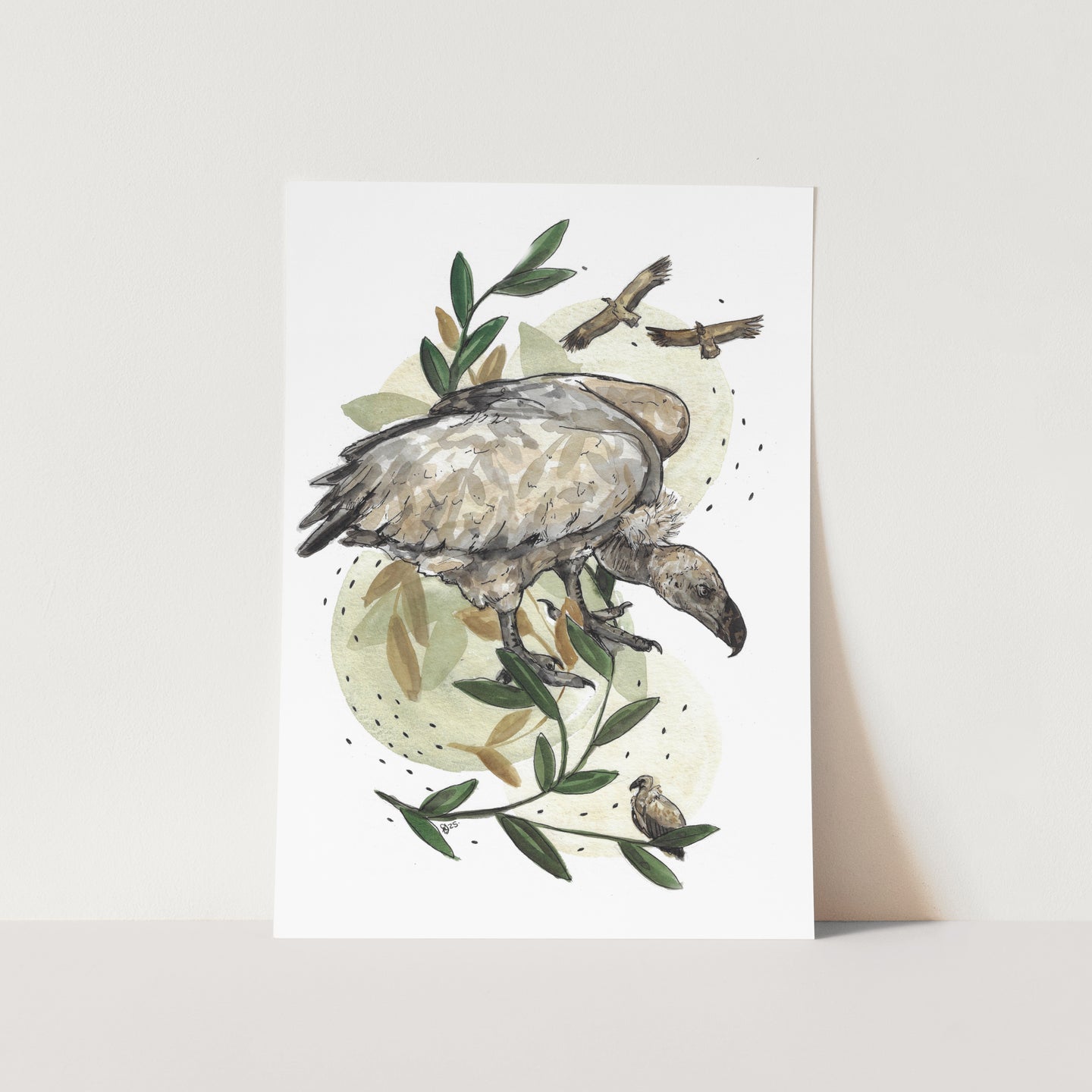 The Rouxville Vulture Art Print