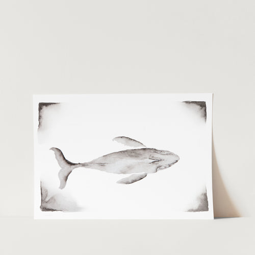 Whale by Amy-Lee Art Print