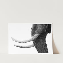 Load image into Gallery viewer, White Gold PFY Art Print