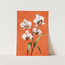 Load image into Gallery viewer, White Orchid Floral Art 3 Art Print