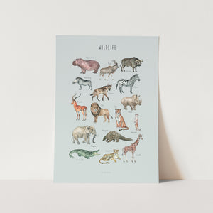 Wildlife Art Print