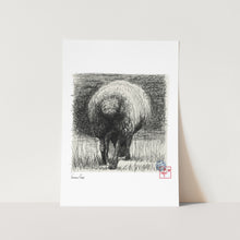 Load image into Gallery viewer, Wool Lines 01 Art Print