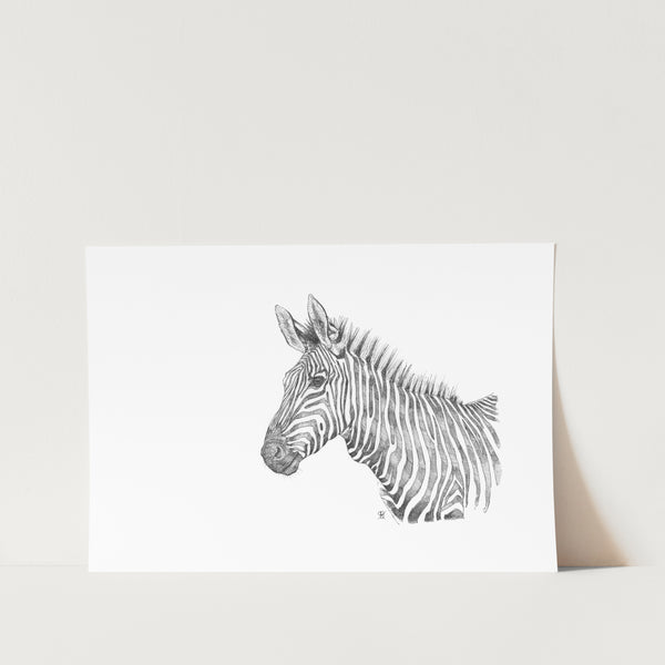 Zebra's Healing Stripes Art Print