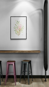 Fynbos Sugarbush Art Print