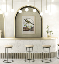 Load image into Gallery viewer, Avian Archway View PFY Art Print