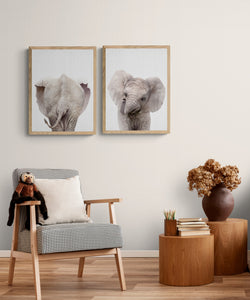 Peekaboo Baby Elephant PFY Art Print