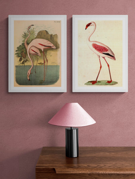 Pair of American Flamingos Art Print